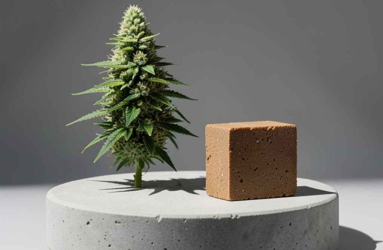 Phoenix Hash: A Bold and Rebirth-Inspired Cannabis Concentrate