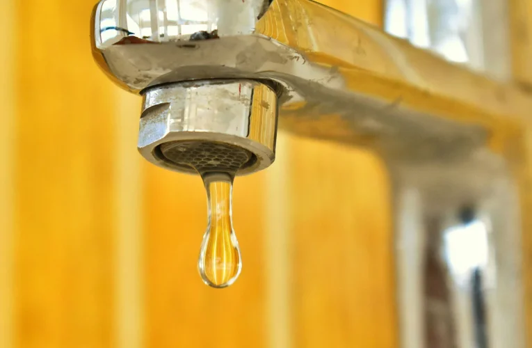 Leaking Faucet Issues: Stop Drips and Lower Water Waste