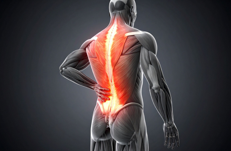Persistent Back Pain – Improve Comfort With Better Habits
