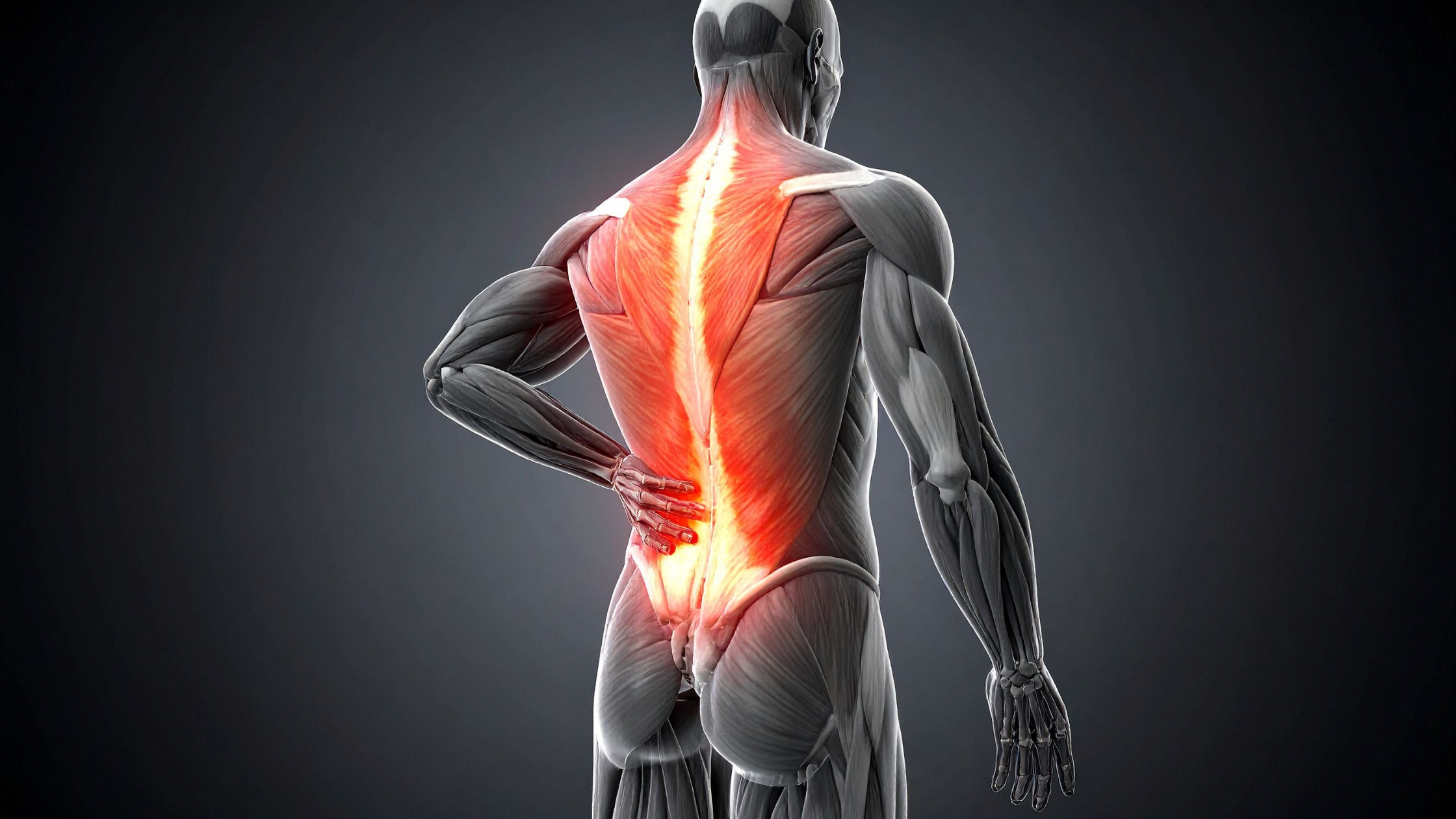 Persistent Back Pain - Improve Comfort With Better Habits